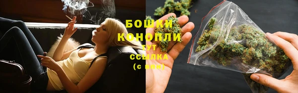 PSILOCYBIN Алексеевка