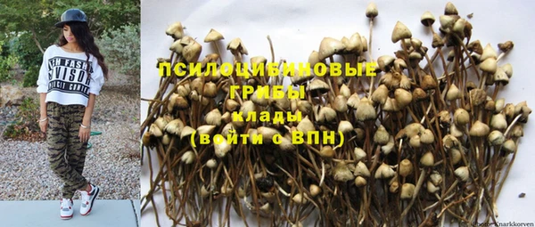 круглые Абаза