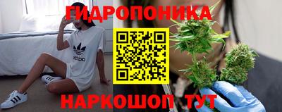 эйфоретик Гусь-Хрустальный