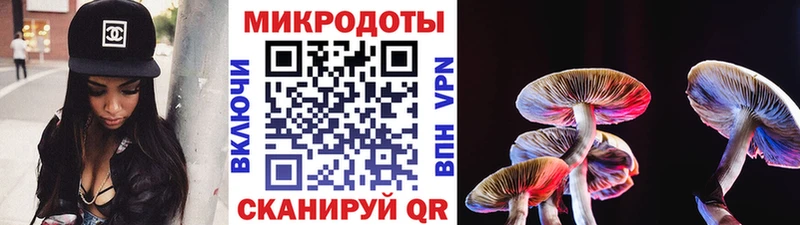 Псилоцибиновые грибы Magic Shrooms  мега ссылка  Губкин  как найти закладки 