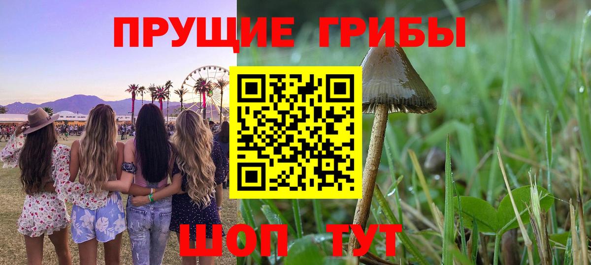 Псилоцибиновые грибы ЛСД Губкин